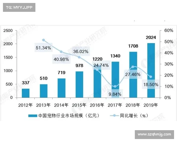 俄罗斯CSGO皮肤购买市场现状与趋势分析及投资策略 俄罗斯CSGO皮肤购买市场现状与趋势分析及投资策略
