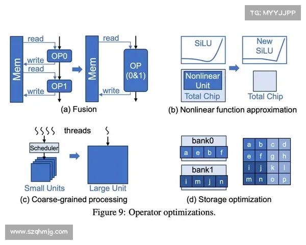 巴舒亚伊的母语及其多语言能力解析