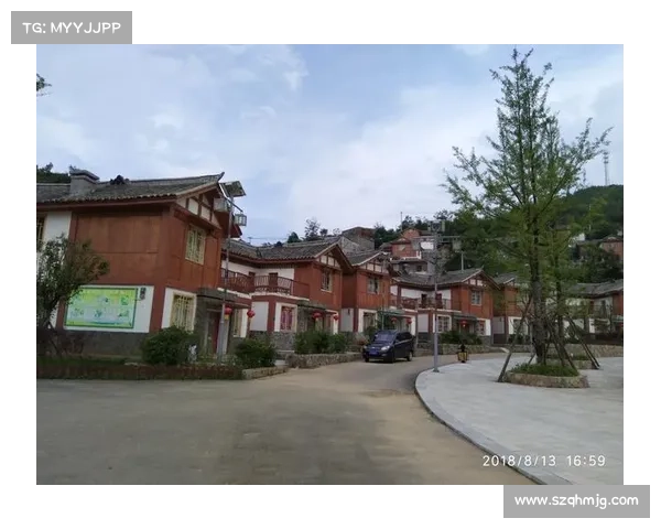 全面深度解读欧国联赛运作机制的原理框架与层级结构详细解析全貌